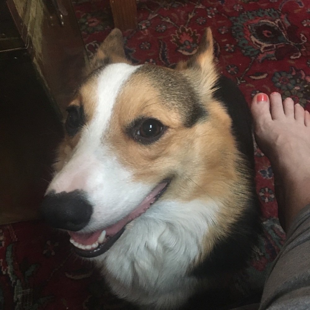 Meet your Posher, Ashley